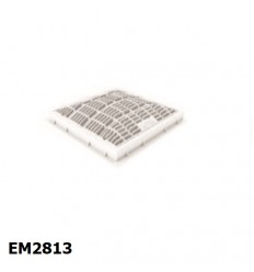 em2813